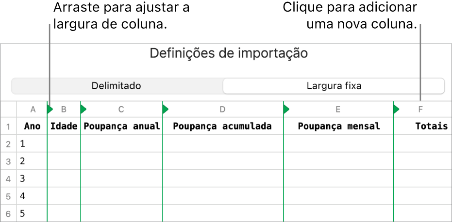 As definições de importação para um ficheiro de texto de largura fixa.