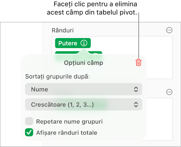 Meniul Opțiuni câmp afișând comenzile pentru gruparea și sortarea datelor și opțiunea de eliminare a unui câmp.