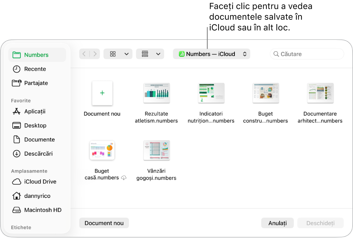 Dialogul Deschide cu bara laterală deschisă în stânga și iCloud Drive selectat în meniul pop-up din partea de sus. Dosarele pentru Keynote, Numbers și Pages apar în dialog împreună cu un buton Document nou.