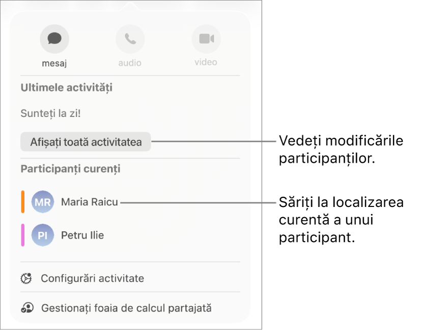 Meniul pentru colaborare cu doi participanți curenți listați.