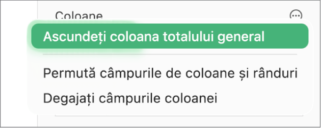 Meniul Mai multe opțiuni de câmpuri afișând comenzile pentru ascunderea totalurilor generale, permutarea câmpurilor de coloane și rânduri și ștergerea câmpurilor.
