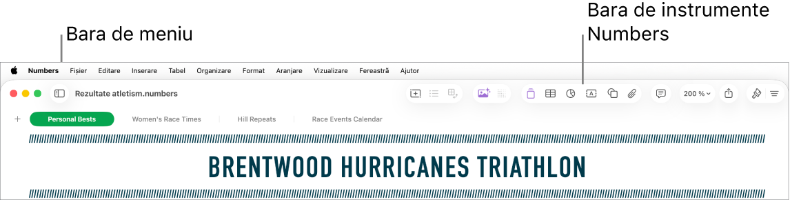 Bara de meniu din partea de sus a ecranului cu meniurile Apple, Numbers, Fișier, Editare, Inserare, Tabel, Organizare, Format, Aranjare, Vizualizare, Fereastră și Ajutor. Sub bara de meniu se află o foaie de calcul Numbers deschisă cu butoanele din bara de instrumente.