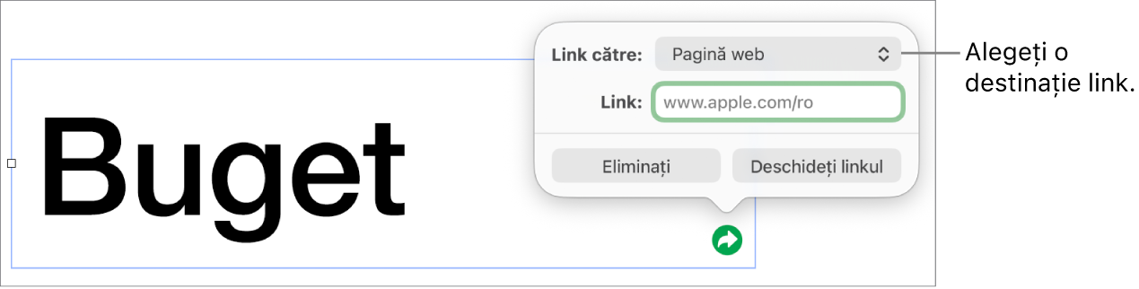 Comenzile editorului de linkuri cu opțiunea Pagină web selectată și butoanele Elimină și Deschide linkul în partea de jos.