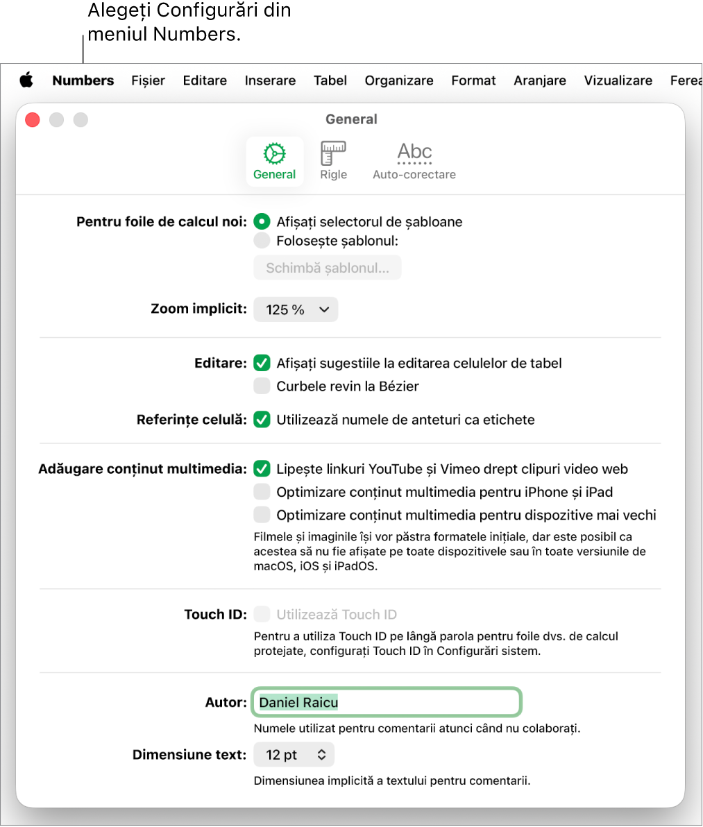 Fereastra de configurări Numbers deschisă la panoul General, cu configurări pentru foile de calcul noi, zoom implicit, editare, referințe de celulă, ecuații, adăugarea conținutului multimedia, Touch ID, numele autorului și dimensiunea implicită a textului.