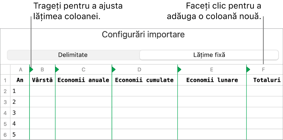 Configurările de importare pentru un fișier de text cu lățime fixă.