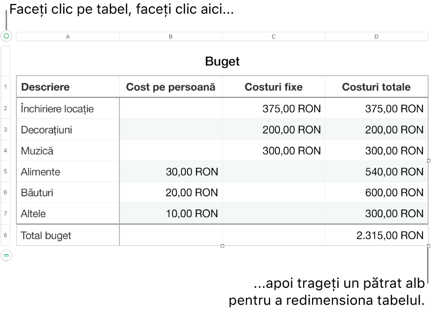 Un tabel selectat, cu pătrate albe pentru redimensionare.