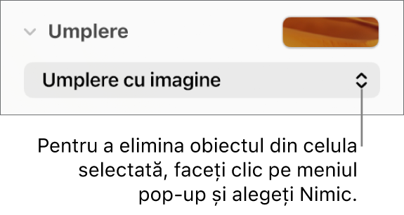 Comanda pentru eliminarea unui obiect din celula selectată.