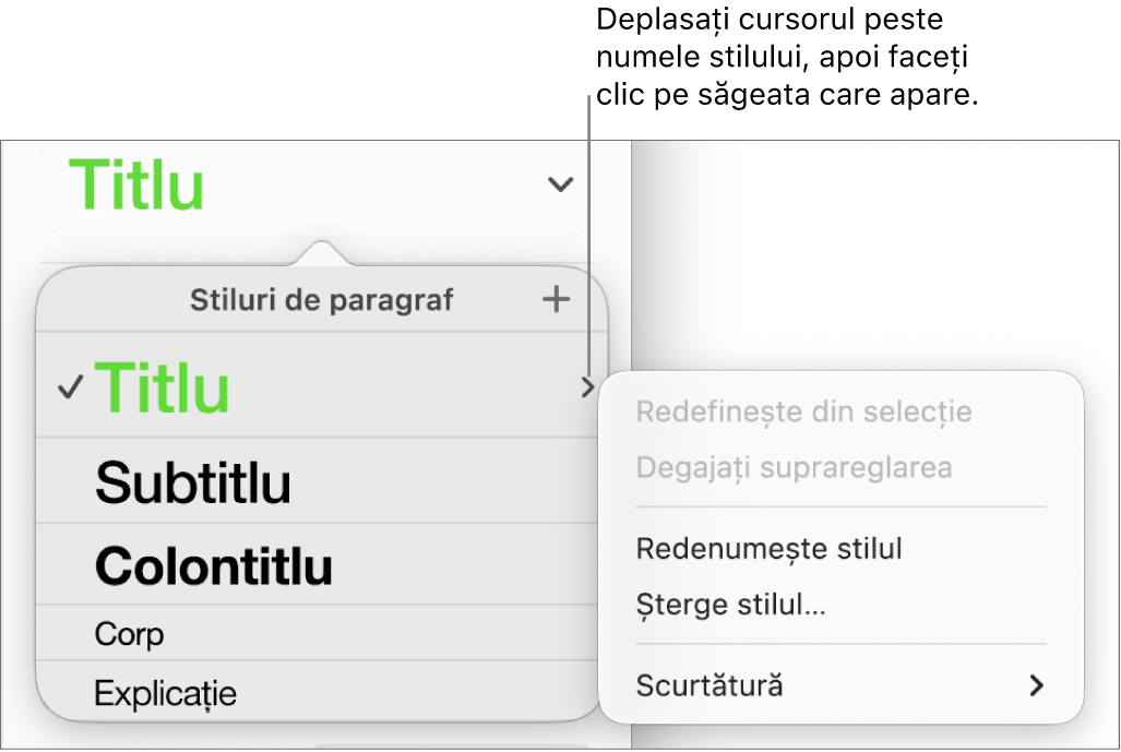 Meniul Stiluri de paragraf cu meniul de scurtături deschis.