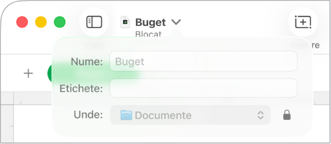 Fereastră pop-up pentru blocarea sau deblocarea unei foi de calcul.