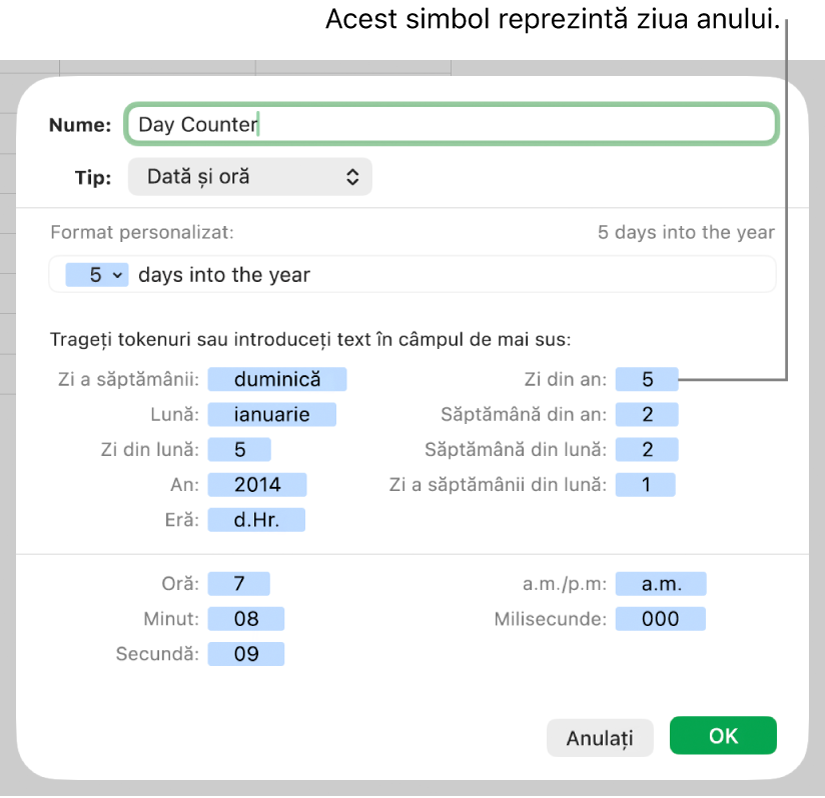 Format de dată și oră personalizat de celulă.