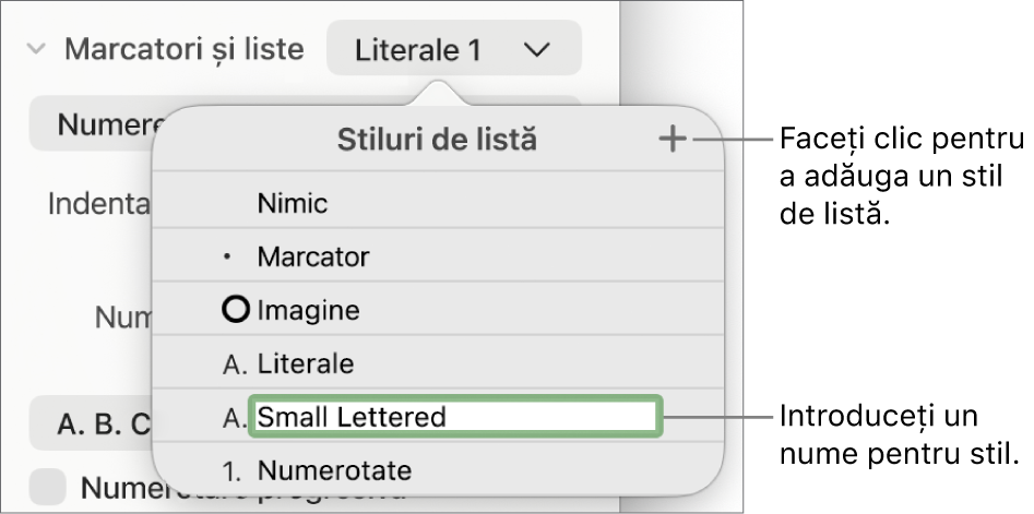 Meniul pop-up Stiluri de listă, cu un buton Adaugă în colțul din dreapta sus și un nume de stil substituent cu textul aferent selectat.