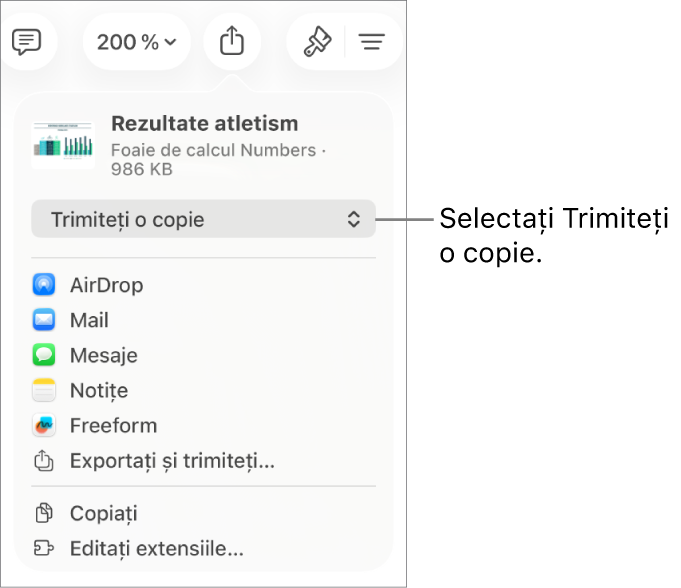 Meniul Partajează, cu opțiunea Trimite o copie selectată în partea de sus.
