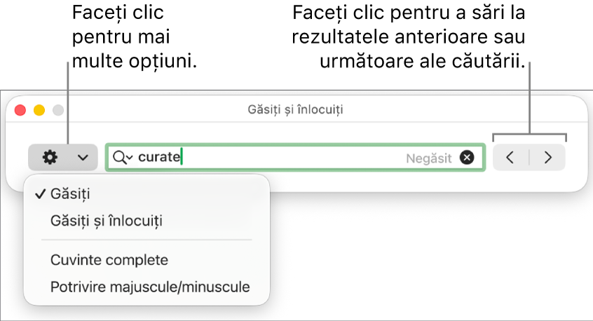 Fereastra Găsește și înlocuiește cu meniul pop-up afișând opțiunile Găsește, Găsește și înlocuiește, Cuvinte complete și Majuscule/minuscule. Săgețile din dreapta vă permit să treceți la rezultatele anterioare sau următoare ale căutării.