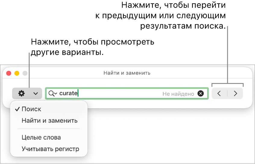 В окне «Найти и заменить» открыто всплывающее меню, в котором показаны параметры «Найти», «Найти и заменить», «Целые слова» и «Регистр». Стрелки справа позволяют переходить к предыдущему или следующему результату поиска.