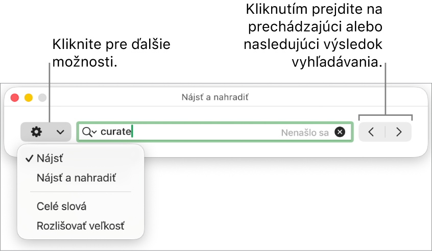 Okno Nájsť a nahradiť s vyskakovacím menu zobrazujúcim možností Hľadať, Hľadať a nahradiť, Celé slová a Rozlišovať veľkosť. Šípky napravo umožňujú preskočiť na predchádzajúce alebo ďalšie výsledky vyhľadávania.