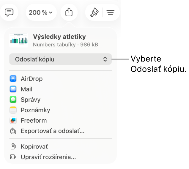 Menu Zdieľať s vybranou možnosťou Odoslať kópiu vo vrchnej časti.