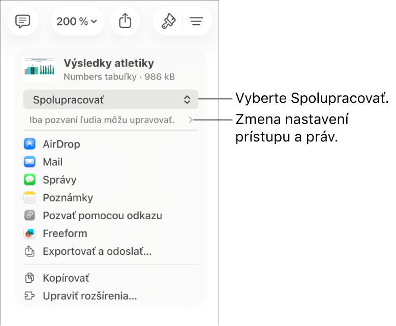 Menu Zdieľať s vybranou možnosťou Spolupracovať navrchu a pod ňou sa nachádzajú nastavenia prístupu a povolení.
