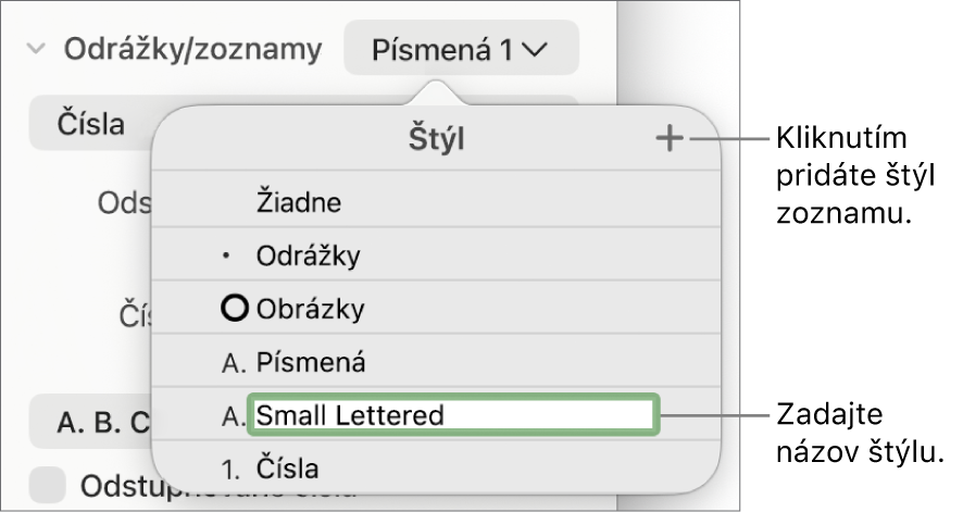 Vyskakovacie menu Štýly zoznamu s tlačidlom Pridať v pravom hornom rohu a názvom vzorového štýlu s označeným textom.