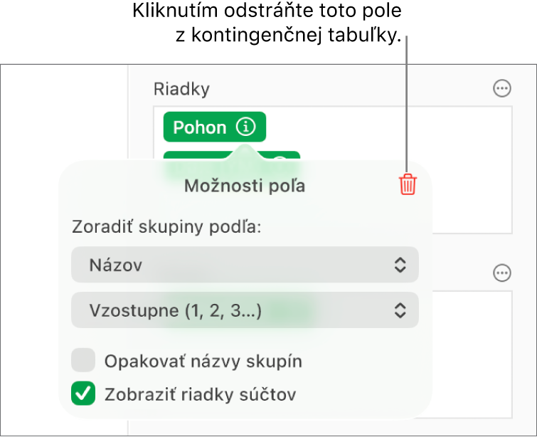 Menu Možnosti poľa zobrazujúce ovládacie prvky na zoskupenie a zoradenie dát, ako aj možnosť na odstránenie poľa.