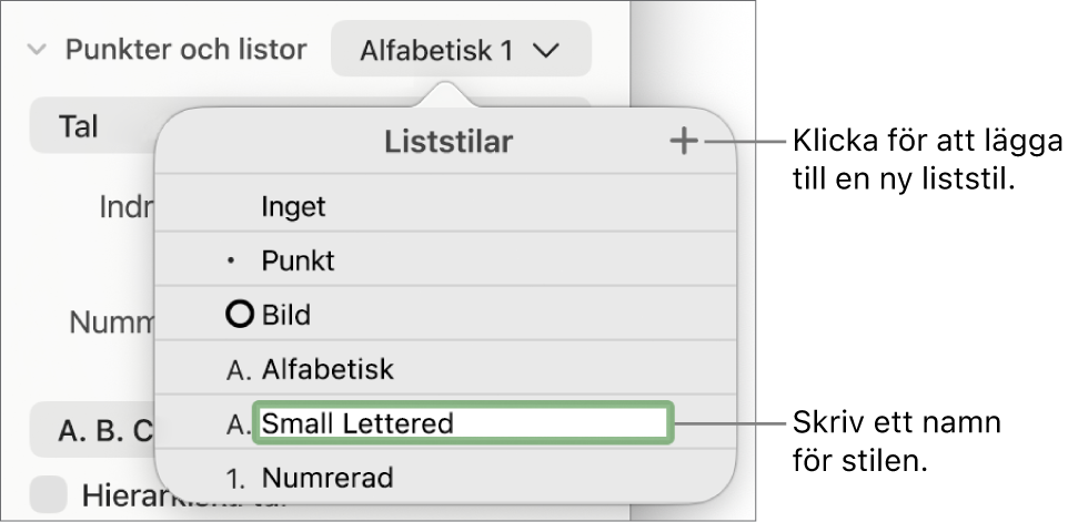 Popupmenyn Liststilar med en lägg till-knapp i det övre högra hörnet och ett platshållarstilnamn med markerad text.