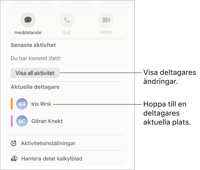Samarbetsmenyn med två aktuella deltagare listade.