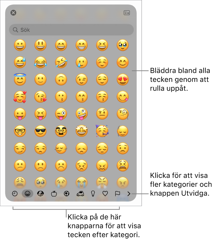 Popuprutan Specialtecken med emoticonsymboler, knappar för olika typer av symboler längst ned och en linje som pekar på knappen för att visa hela teckenfönstret.