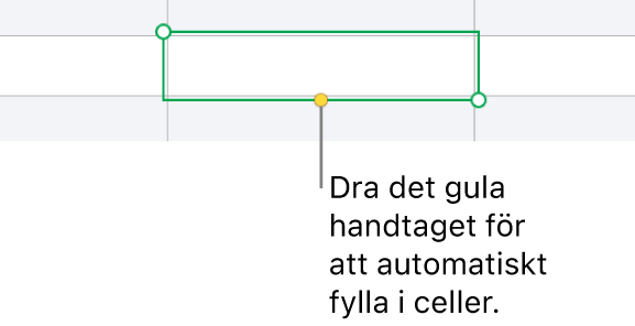 En markerad cell med ett gult handtag du kan dra för att autofylla celler.