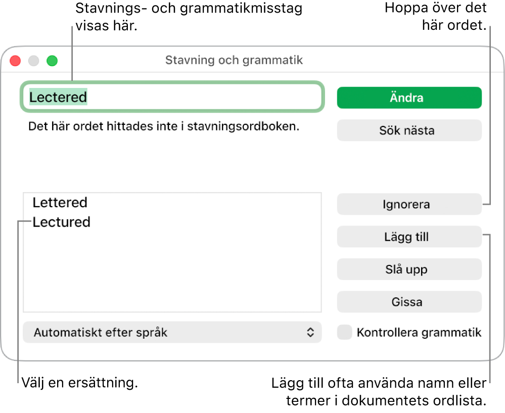 Fönstret Stavning och grammatik.
