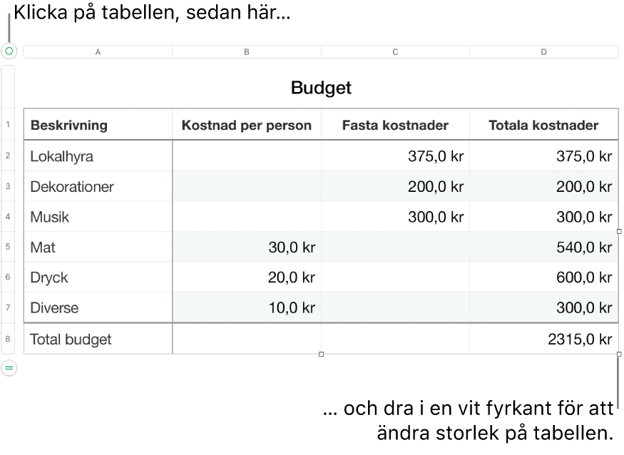 En markerad tabell med vita fyrkanter som används till att ändra storleken.