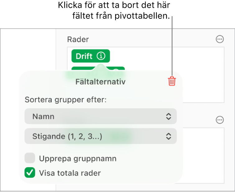 Menyn Fältalternativ visar reglage för att gruppera och sortera data samt alternativet att ta bort ett fält.