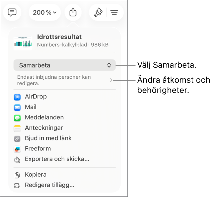 Delningsmenyn med Samarbeta markerat högst upp och tillgångs- och behörighetsinställningar under.