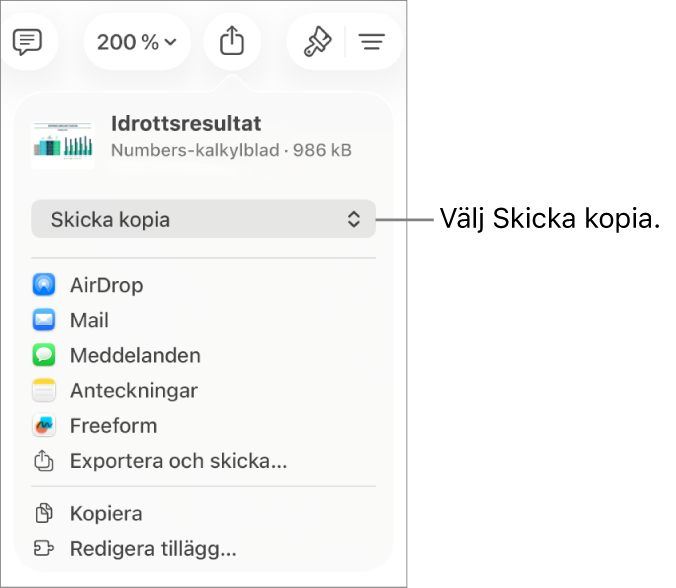 Delningsmenyn med Skicka kopia markerat högst upp.
