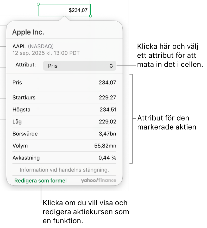 Dialogrutan för att mata in information om aktieattribut där Apple-aktien har markerats.