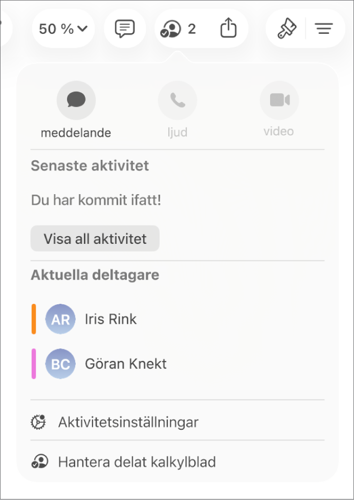 Samarbetsmenyn med namnen på de personer som samarbetar på ett kalkylblad.