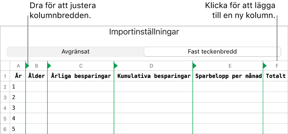 Importinställningar för en textfil med fast teckenbredd.