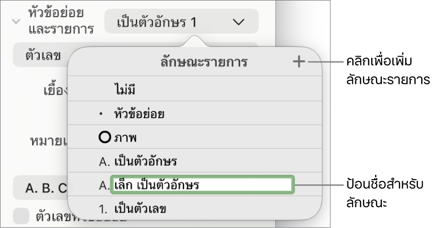 เมนูลักษณะรายการที่แสดงขึ้นที่มีปุ่มเพิ่มอยู่มุมขวาบนสุด และชื่อลักษณะช่องว่างที่มีข้อความที่เลือกอยู่