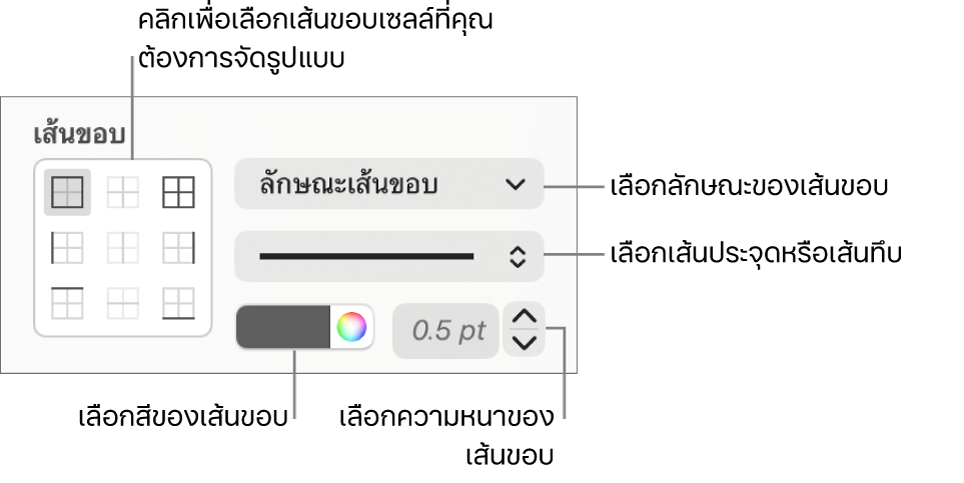 ตัวควบคุมการจัดลักษณะของเซลล์