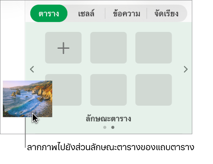 ลากภาพลงในลักษณะตารางเพื่อสร้างลักษณะใหม่