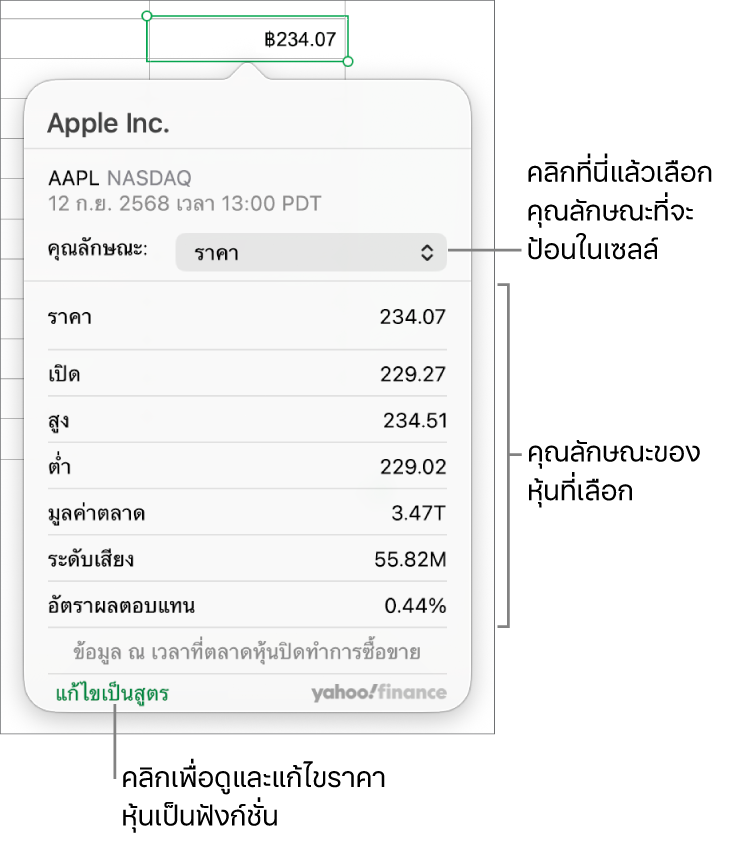 หน้าต่างโต้ตอบสำหรับป้อนข้อมูลคุณลักษณะหุ้น โดยมี Apple เป็นหุ้นที่เลือก