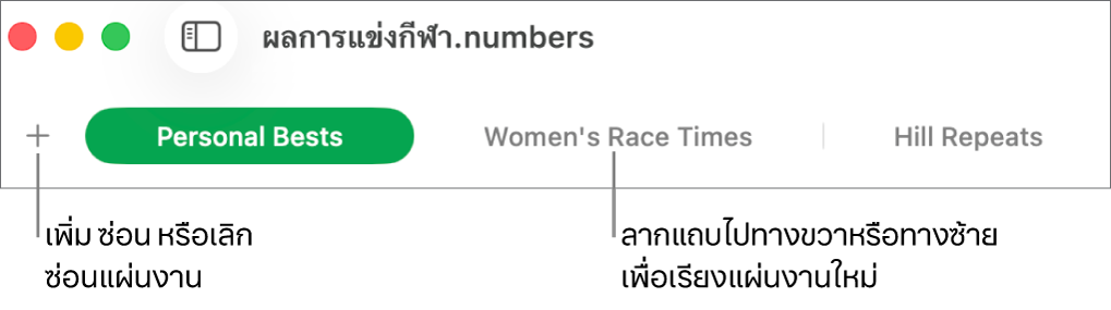 รายการแถบสำหรับเพิ่มแผ่นงานใหม่และการจัดระเบียบแผ่นงานใหม่