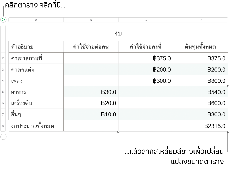 ตารางที่เลือกอยู่พร้อมสี่เหลี่ยมสีขาวสำหรับปรับขนาด