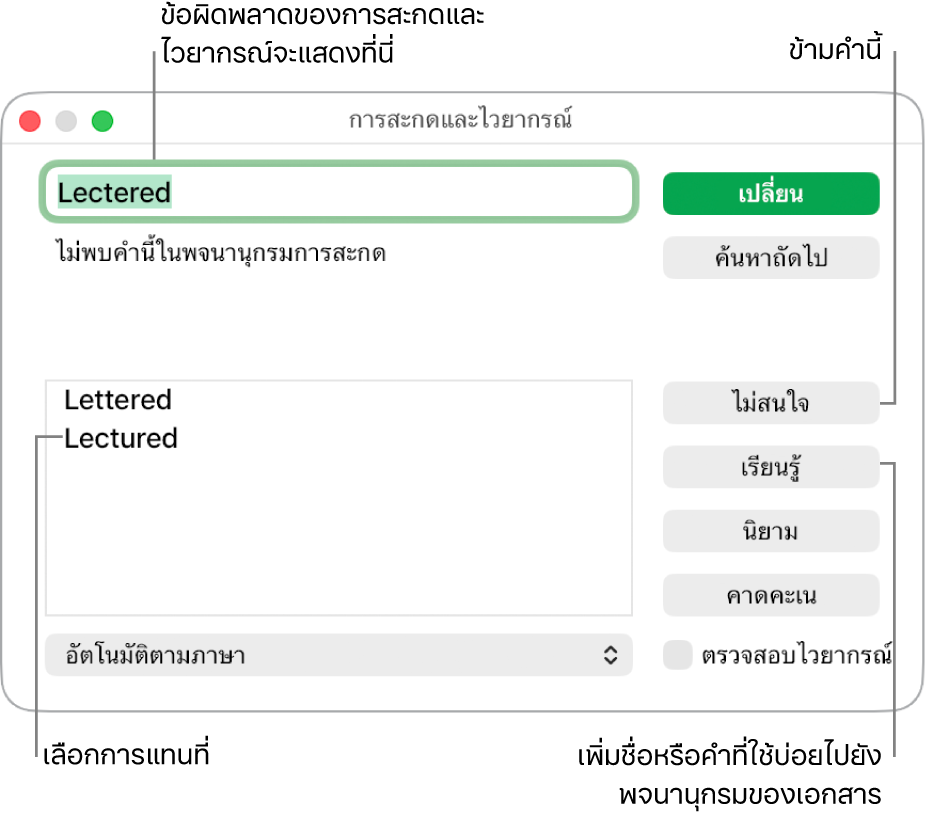 หน้าต่างการสะกดและไวยากรณ์