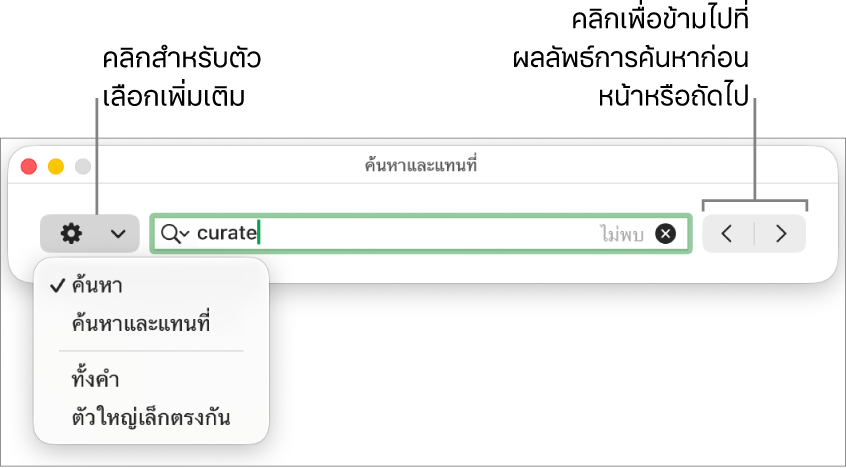 หน้าต่างค้นหาและแทนที่พร้อมเมนูที่แสดงขึ้นที่แสดงตัวเลือกสำหรับค้นหา ค้นหาและแทนที่ ทั้งคำ และตัวใหญ่เล็กตรงกัน ลูกศรด้านขวาทำให้คุณสามารถข้ามไปที่ผลการค้นหาก่อนหน้าหรือถัดไปได้