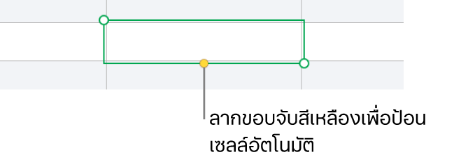 เซลล์ที่เลือกที่มีขอบจับสีเหลือง ซึ่งคุณสามารถลากเพื่อป้อนเซลล์อัตโนมัติได้