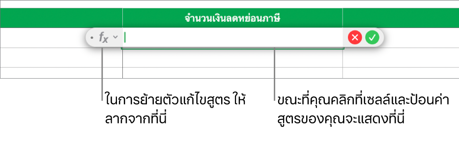 ตัวแก้ไขสูตร