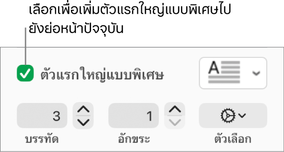 กล่องกาเครื่องหมายตัวแรกใหญ่แบบพิเศษถูกเลือกอยู่ และเมนูที่แสดงขึ้นแสดงทางด้านขวา โดยตัวควบคุมสำหรับการตั้งค่าความสูงของบรรทัด จำนวนอักขระ และตัวเลือกอื่นๆ แสดงอยู่ด้านล่าง