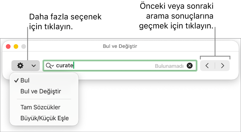 Bul ve Değiştir penceresi; Bul, Bul ve Değiştir, Tam Sözcükler ve Büyük/Küçük Eşle seçeneklerini gösteren açılır menüyü içerir. Sağ taraftaki oklar, önceki veya sonraki arama sonuçlarına gitmenizi sağlar.