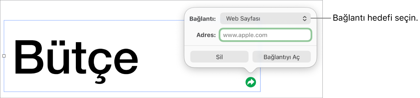 Bağlantı düzenleyici denetimlerinde Web Sayfası seçili, en altta ise Bağlantıyı Sil ve Aç düğmeleri bulunuyor.