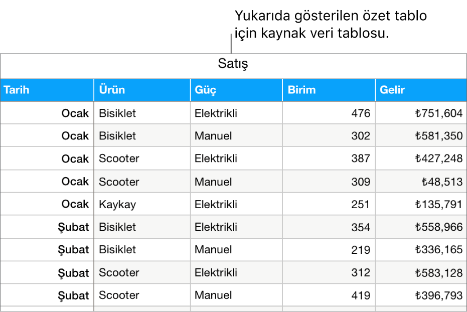 Kaynak verileri içeren bir tablo bisiklet, scooter ve kaykay için ay ve ürün türü (manuel veya elektrikli) bazında satılan birim sayısı ve geliri gösteriyor.