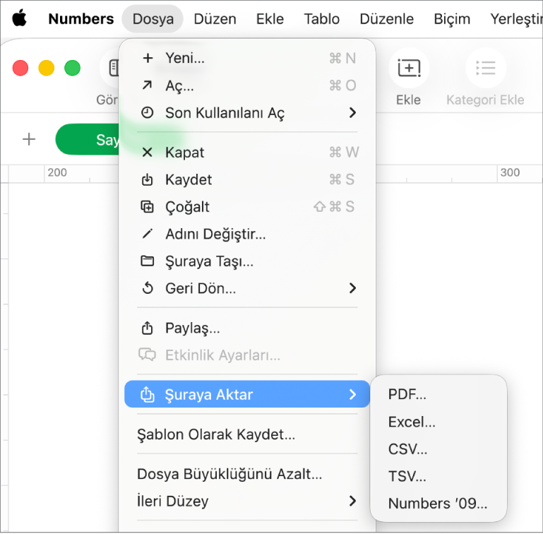 Şuraya Aktar seçilmiş ve alt menüde PDF, Excel ve CSV için dışa aktarma seçenekleri gösterilen Dosya menüsü.